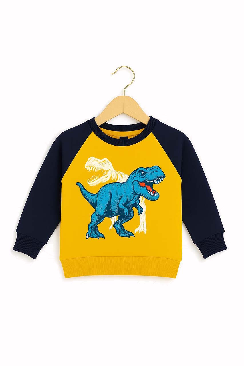 Kids Dino Graphic Raglan Sweatshirt