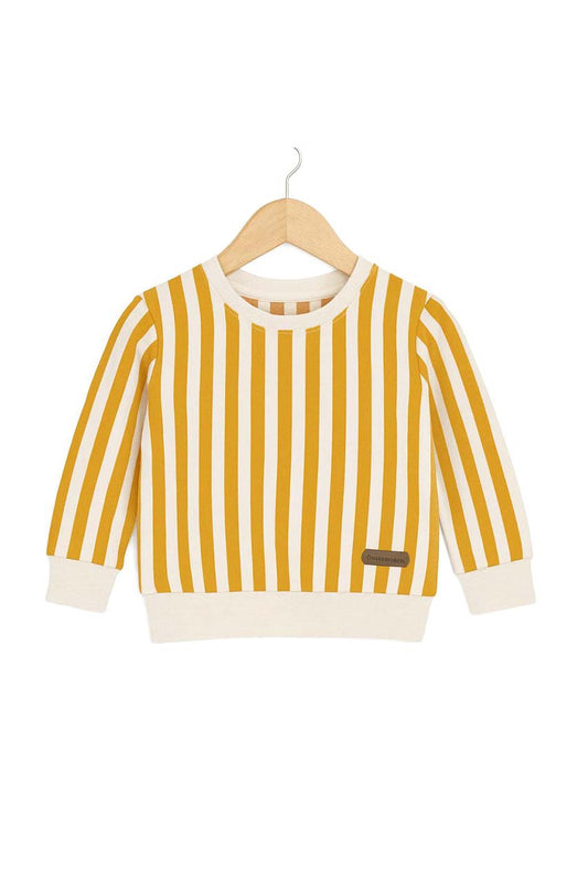 Kids Striped Printed Casual Sweatshirt