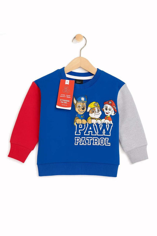 Kids Paw Patrol Color-Block Sweatshirt